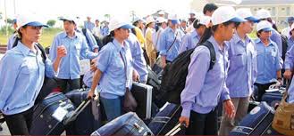 Quyền, nghĩa vụ của người giải quyết khiếu nại lần đầu trong hoạt động đưa người lao động Việt Nam đi làm việc ở nước ngoài theo hợp đồng