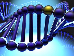 Cơ cấu của Hội đồng thẩm định hồ sơ đề nghị cấp Giấy phép tiếp cận nguồn gen để nghiên cứu vì mục đích thương mại