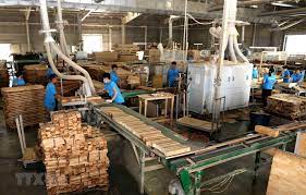 Công bố kết quả phân loại, chuyển loại, phân loại lại doanh nghiệp chế biến và xuất khẩu gỗ