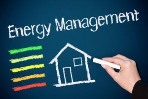 Việc tổ chức đào tạo quản lý năng lượng và kiểm toán viên năng lượng được quy định như thế nào?
