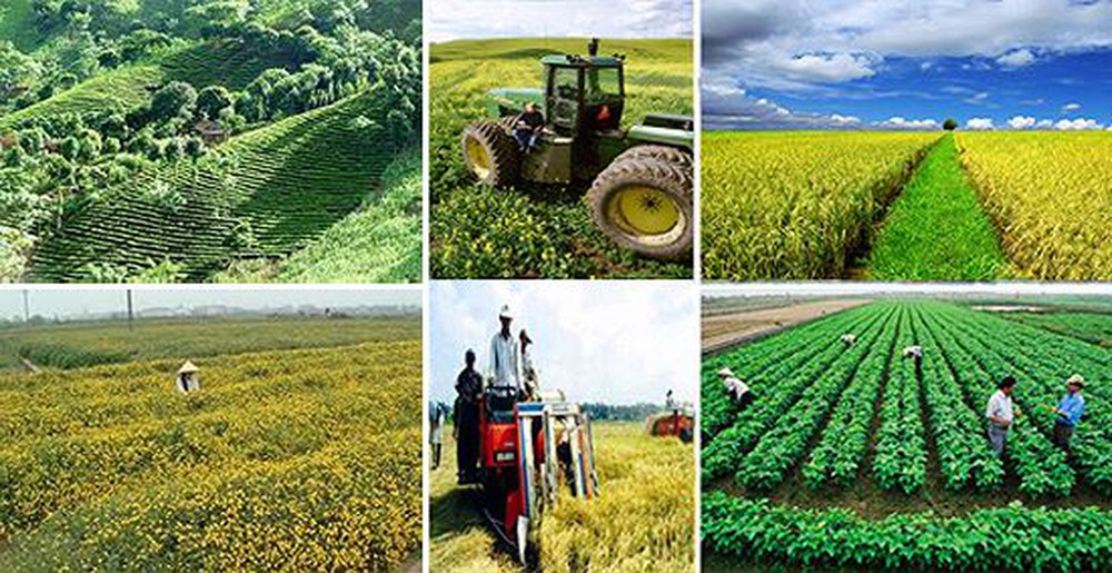 Việc tiếp cận, hỗ trợ tín dụng đối với doanh nghiệp đầu tư vào nông nghiệp, nông thôn được quy định như thế nào?