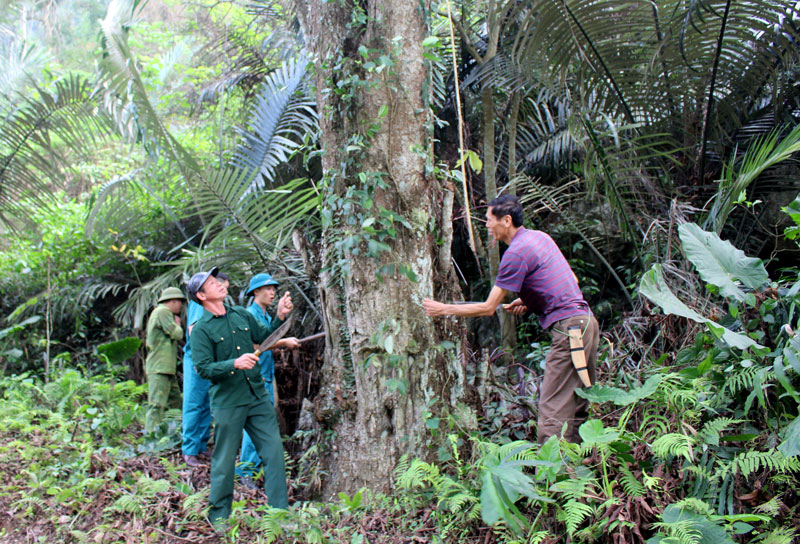 Nhiệm vụ và tiêu chuẩn về trình độ đào tạo, bồi dưỡng của quản lý bảo vệ rừng viên chính quy định thế nào?