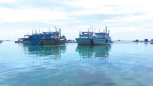 Xử phạt tàu cá neo đậu trong vùng lãnh hải Việt Nam