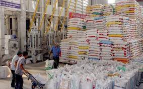 Cơ sở kinh doanh xuất khẩu gạo chỉ cần có kho để chứa gạo là đủ điều kiện kinh doanh?