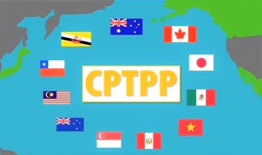 Điều chỉnh giá hợp đồng mua sắm gói thầu trong Hiệp định CPTPP?