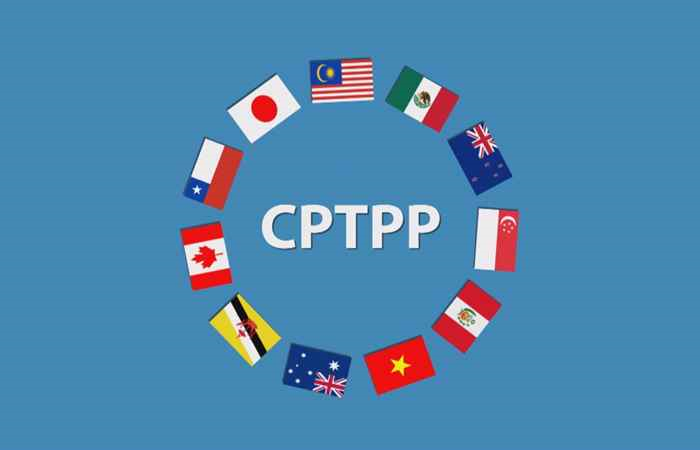 Văn bản trình duyệt kế hoạch lựa chọn nhà thầu mua sắm theo Hiệp định CPTPP bao gồm những nội dung nào?