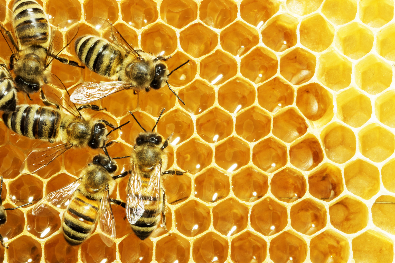 Cơ quan kiểm tra, giám sát vệ sinh thú y và an toàn thực phẩm đối với mật ong?