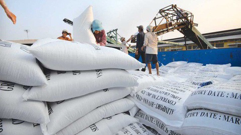 Trách nhiệm của Bộ Nông nghiệp và Phát triển nông thôn trong việc kinh doanh xuất khẩu gạo là gì?