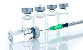 Phòng bệnh bắt buộc bằng vắc-xin về bệnh Lở mồm long móng như thế nào?