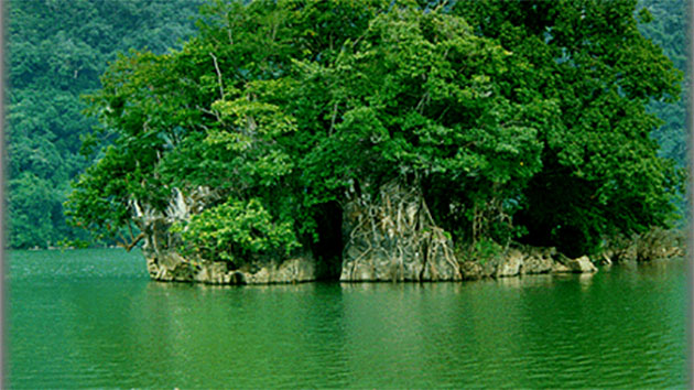 Các đối tượng nào được miễn phí tham quan Vườn quốc gia Cát Tiên?