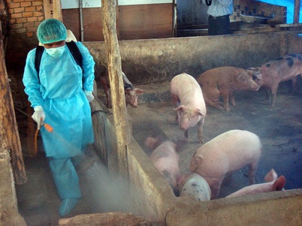 Giám sát vệ sinh thú y, an toàn thực phẩm đối với động vật, sản phẩm động vật sử dụng làm thực phẩm?