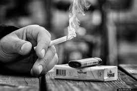 Có cần phải ghi rõ số lượng điếu trên nhãn bao thuốc lá không?
