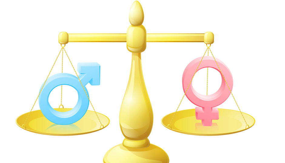 Nội dung thẩm tra vấn đề bình đẳng giới trong dự thảo văn bản quy phạm pháp luật của Văn phòng chính phủ, Hội đồng nhân dân cấp tỉnh, cấp huyện