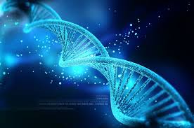 Điều kiện họp Hội đồng thẩm định hồ sơ cấp Giấy phép tiếp cận nguồn gen để nghiên cứu vì mục đích thương mại