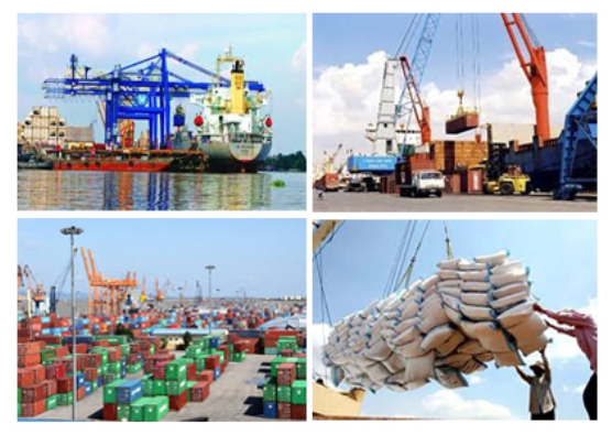 Hướng dẫn cụ thể về tờ khai hàng hóa xuất khẩu, nhập khẩu phi mậu dịch