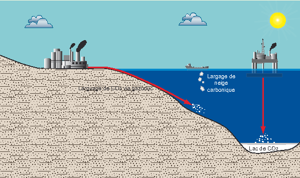 Công tác lấy và bảo quản mẫu trầm tích biển