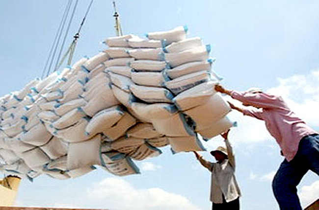 Thủ tục kiểm tra điều kiện kinh doanh xuất khẩu gạo