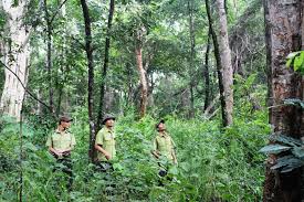 Xử phạt hành vi chuyển mục đích sử dụng đất rừng đặc dụng sang đất phi nông nghiệp không được cơ quan nhà nước có thẩm quyền cho phép