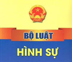 Hiệu lực của Bộ luật hình sự đối với những hành vi phạm tội ở ngoài lãnh thổ nước Việt Nam theo quy định hiện hành