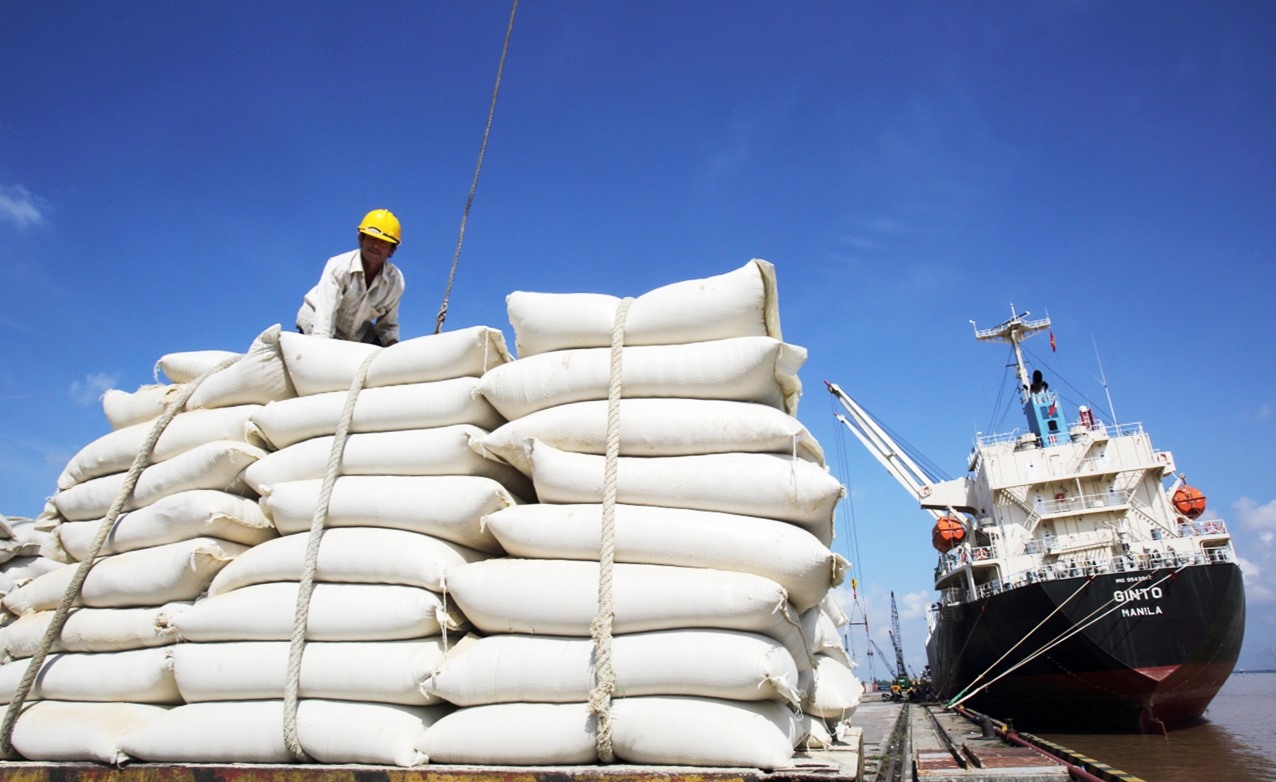 Quyền kinh doanh xuất khẩu gạo được quy định như thế nào?
