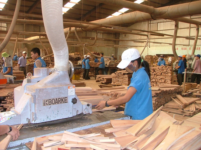 Doanh nghiệp chế biến và xuất khẩu gỗ có thể đăng ký phân loại trực tuyến ở trang web nào?