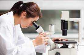 Nội dung giám sát chất lượng xét nghiệm bằng kính hiển vi đối với bệnh sốt rét?