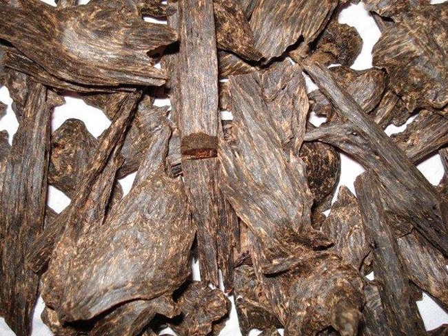 Xuất khẩu trầm hương có phải xin giấy phép CITES không?
