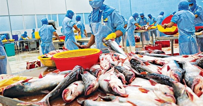 Xử lý kết quả thẩm định khi thẩm định đánh giá định kỳ điều kiện an toàn thực phẩm thủy sản xuất khẩu